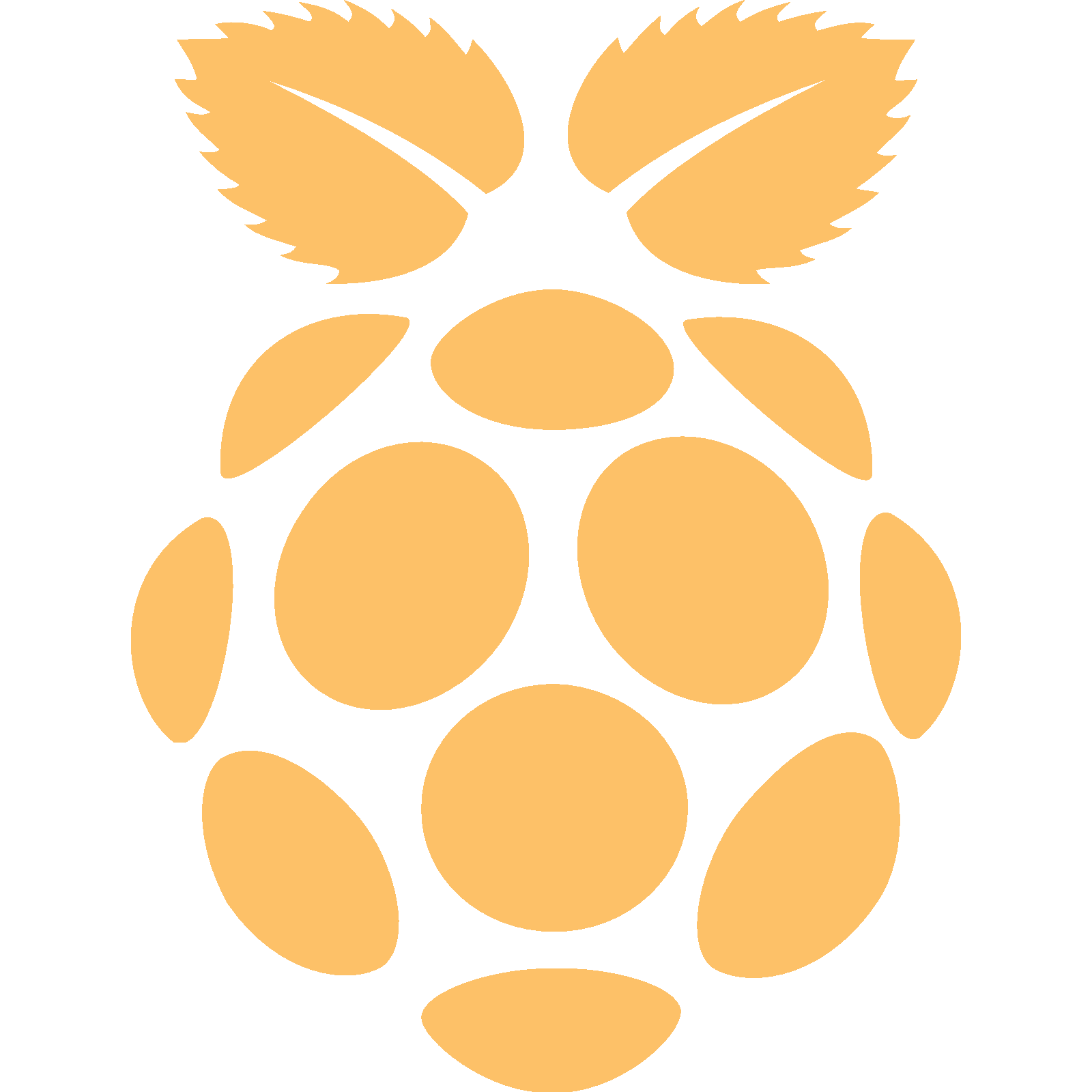 Raspbian
